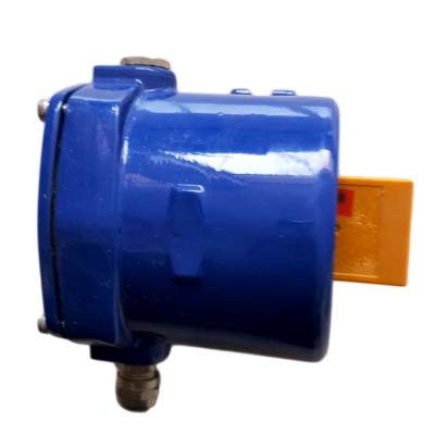 220V打滑開關(guān)FLXD-1、220V速度打滑檢測器BDS2A生產(chǎn)